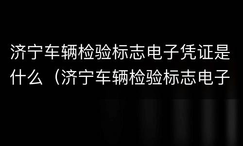 济宁车辆检验标志电子凭证是什么（济宁车辆检验标志电子凭证是什么样子）