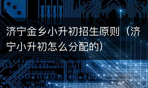 济宁金乡小升初招生原则（济宁小升初怎么分配的）