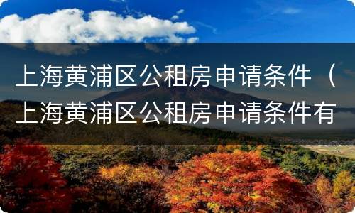 上海黄浦区公租房申请条件（上海黄浦区公租房申请条件有哪些）