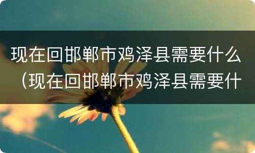 现在回邯郸市鸡泽县需要什么（现在回邯郸市鸡泽县需要什么手续）