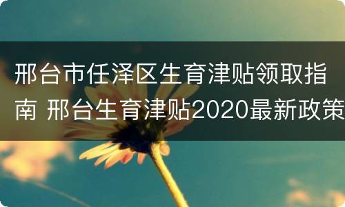 邢台市任泽区生育津贴领取指南 邢台生育津贴2020最新政策