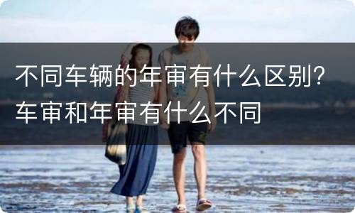 不同车辆的年审有什么区别? 车审和年审有什么不同