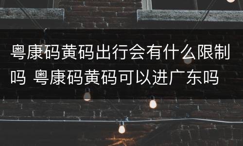 粤康码黄码出行会有什么限制吗 粤康码黄码可以进广东吗