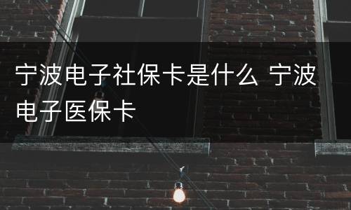 宁波电子社保卡是什么 宁波 电子医保卡