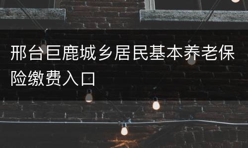 邢台巨鹿城乡居民基本养老保险缴费入口