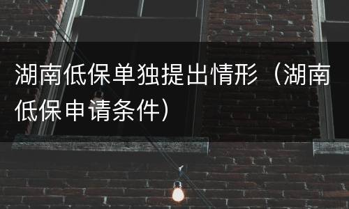 湖南低保单独提出情形（湖南低保申请条件）