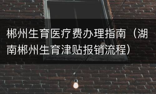 郴州生育医疗费办理指南（湖南郴州生育津贴报销流程）
