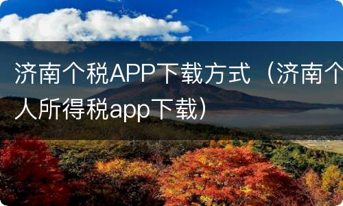 济南个税APP下载方式（济南个人所得税app下载）