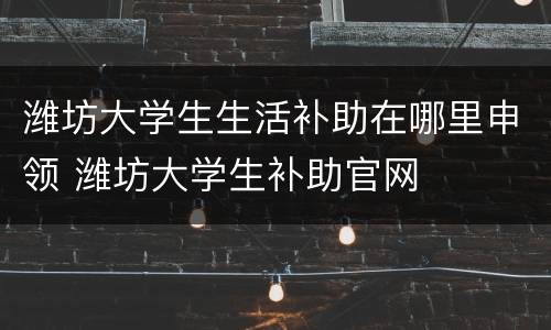 潍坊大学生生活补助在哪里申领 潍坊大学生补助官网