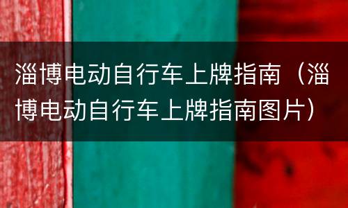 淄博电动自行车上牌指南（淄博电动自行车上牌指南图片）
