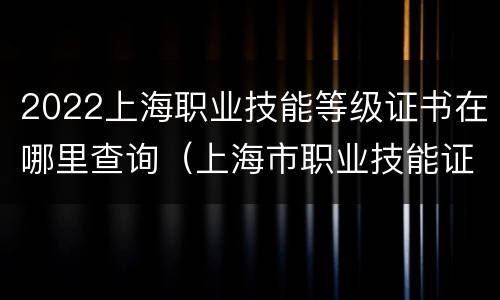 2022上海职业技能等级证书在哪里查询（上海市职业技能证书查询）