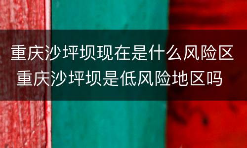 重庆沙坪坝现在是什么风险区 重庆沙坪坝是低风险地区吗