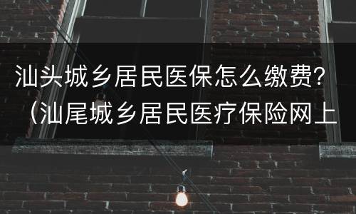 汕头城乡居民医保怎么缴费？（汕尾城乡居民医疗保险网上怎么缴费）
