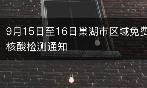 9月15日至16日巢湖市区域免费核酸检测通知