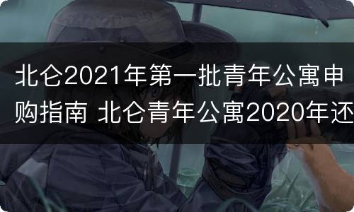 北仑2021年第一批青年公寓申购指南 北仑青年公寓2020年还有吗