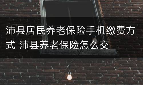 沛县居民养老保险手机缴费方式 沛县养老保险怎么交