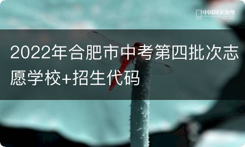 2022年合肥市中考第四批次志愿学校+招生代码