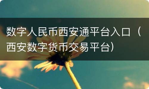 数字人民币西安通平台入口（西安数字货币交易平台）