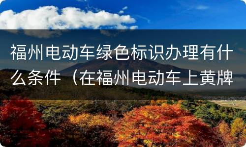 福州电动车绿色标识办理有什么条件（在福州电动车上黄牌需要哪些证件?）