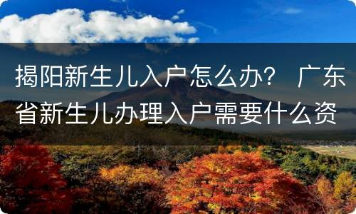 揭阳新生儿入户怎么办？ 广东省新生儿办理入户需要什么资料