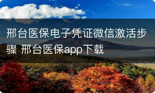 邢台医保电子凭证微信激活步骤 邢台医保app下载