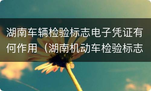 湖南车辆检验标志电子凭证有何作用（湖南机动车检验标志电子化）