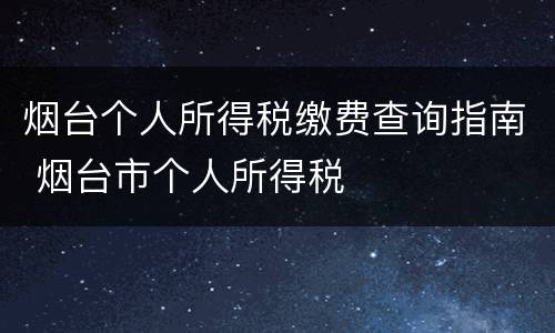 烟台个人所得税缴费查询指南 烟台市个人所得税