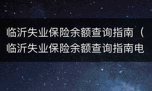 临沂失业保险余额查询指南（临沂失业保险余额查询指南电话）