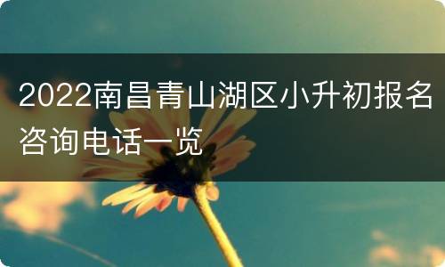 2022南昌青山湖区小升初报名咨询电话一览