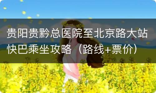 贵阳贵黔总医院至北京路大站快巴乘坐攻略（路线+票价）