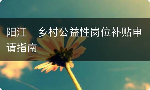 阳江​乡村公益性岗位补贴申请指南