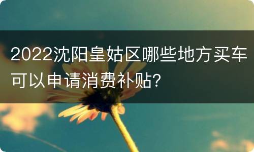 2022沈阳皇姑区哪些地方买车可以申请消费补贴？