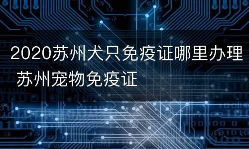2020苏州犬只免疫证哪里办理 苏州宠物免疫证