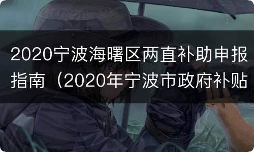 2020宁波海曙区两直补助申报指南（2020年宁波市政府补贴政策）