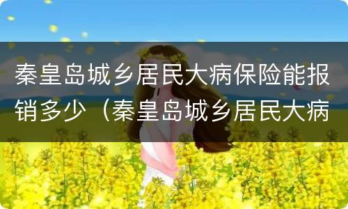 秦皇岛城乡居民大病保险能报销多少（秦皇岛城乡居民大病保险能报销多少钱）