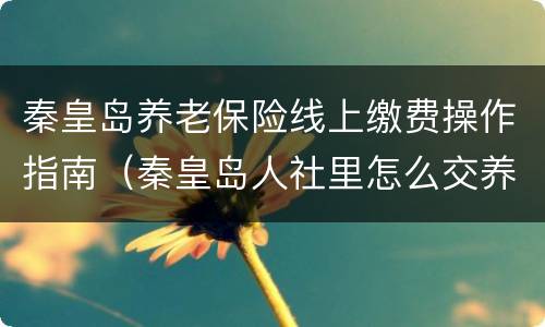 秦皇岛养老保险线上缴费操作指南（秦皇岛人社里怎么交养老保险）
