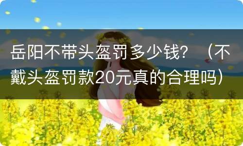 岳阳不带头盔罚多少钱？（不戴头盔罚款20元真的合理吗）