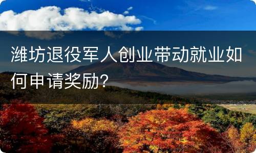 潍坊退役军人创业带动就业如何申请奖励？