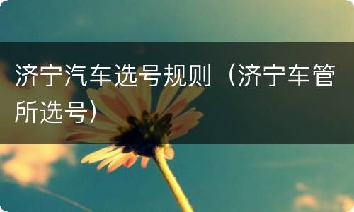 济宁汽车选号规则（济宁车管所选号）