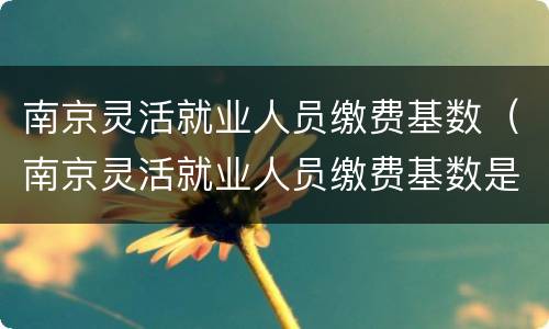 南京灵活就业人员缴费基数（南京灵活就业人员缴费基数是多少）