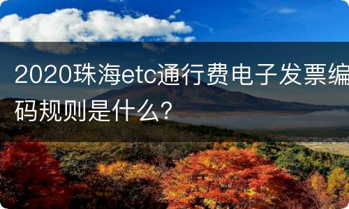 2020珠海etc通行费电子发票编码规则是什么？