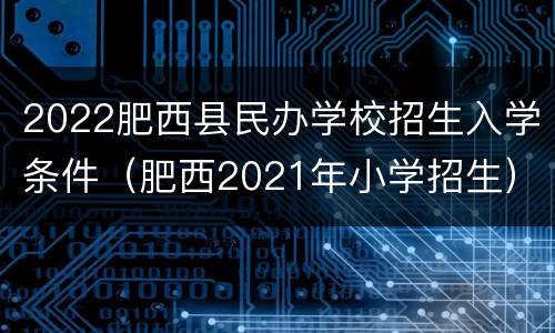 2022肥西县民办学校招生入学条件（肥西2021年小学招生）