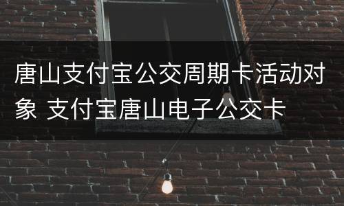 唐山支付宝公交周期卡活动对象 支付宝唐山电子公交卡