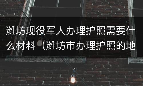 潍坊现役军人办理护照需要什么材料（潍坊市办理护照的地方）