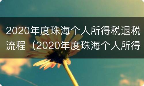 2020年度珠海个人所得税退税流程（2020年度珠海个人所得税退税流程视频）