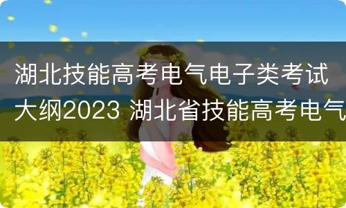 湖北技能高考电气电子类考试大纲2023 湖北省技能高考电气电子类2020