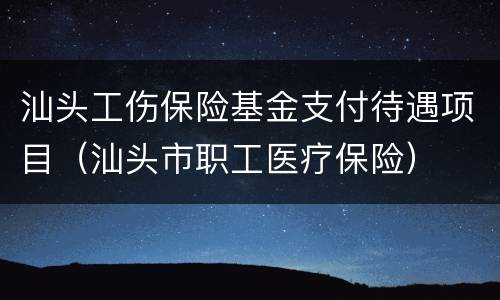 汕头工伤保险基金支付待遇项目（汕头市职工医疗保险）