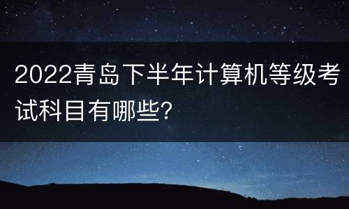 2022青岛下半年计算机等级考试科目有哪些？
