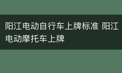 阳江电动自行车上牌标准 阳江电动摩托车上牌