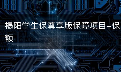 揭阳学生保尊享版保障项目+保额